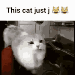 lel